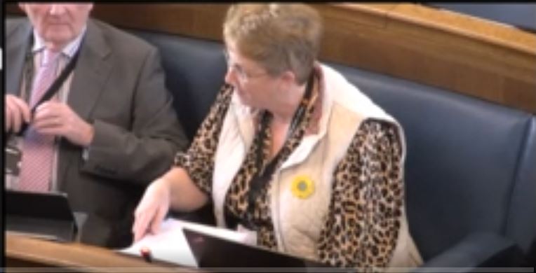 Cllr Anne Davies facing questions